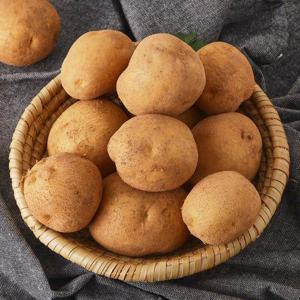 포슬포슬 26년 국내산 햇 감자 5kg 특대 (110-160g)