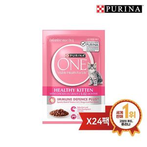원 캣 습식 파우치 키튼 70g 24팩