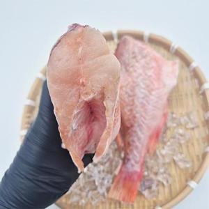 손질 특대 열기 불볼락 반건조 2미 x 2팩