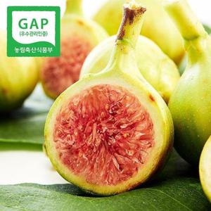 갤러리아_[GAP인증] 당일수확 전남 고당도 청 무화과 1kg(14-18과)