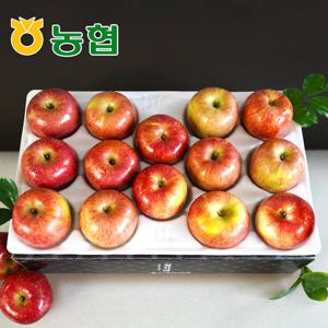 [농협] 아삭달콤 안동 사과 정품 3kg (14과내)