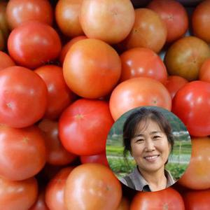 착한농부 신선배송 토마토 5kg(크기랜덤)