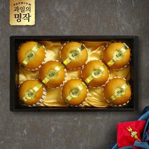 [과일명품관] 나주 신고배 선물세트 4kg (9과내)