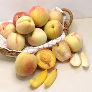 달콤한 하우스복숭아 특대과 1kg(3-4과)