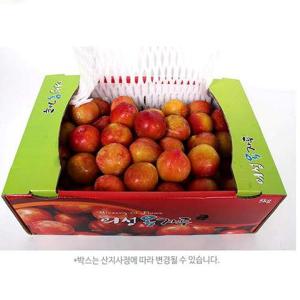 새콤달콤 가을 왕자두 추희자두 상(100g내외) 4kg