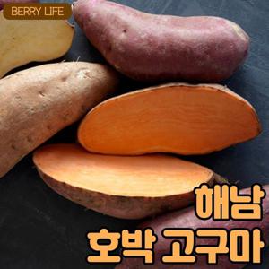 [베리세상]해남 호박고구마 5kg(특상)