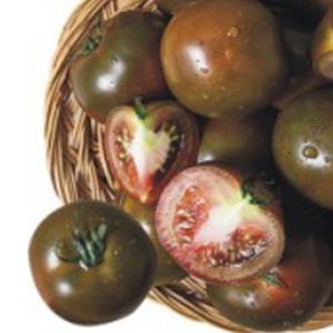 베란다텃밭 과일 블랙펄 토마토 도마토 키우기 씨 씨앗 종자 10립