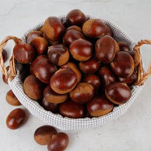 26년 수확 햇밤 알이 꽉 찬 고소한 경남 하동밤 생밤 대 사이즈 6kg