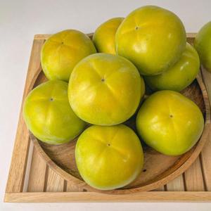 태추단감 대과 5kg (25과 내외)