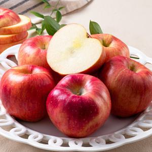 *농할할인*26년 햇 경북 홍로사과 정품 2kg (10-13과)