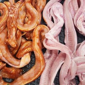 산지직송 국내산 생물 꼼장어 10-15미 1kg(손질후580-600g내외)