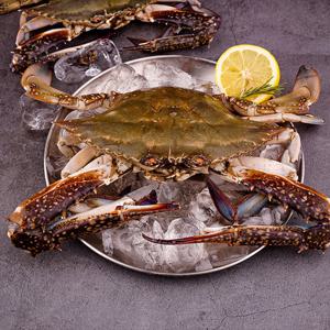 26년 제철 활 숫꽃게 2kg (kg당4-5미/서해안 꽃게)