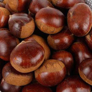 26년 수확 햇밤 알이 꽉 찬 고소한 경남 하동밤 생밤 대 사이즈 3kg