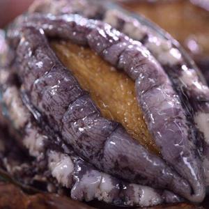 갤러리아_해신수산 완도활전복 대 14∼15미 1kg