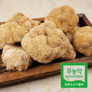 [버섯농부] 국내산 무농약 건 노루궁뎅이버섯 50g