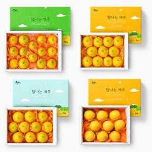[온누리7%혜택] 천혜 제주의 무공해 제철 황금향 선물세트 (중과 2kg, 중대과 2kg/2.5kg/4.5kg)