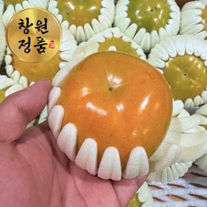 고당도 창원 태추단감 로얄과 2kg/3kg/5kg