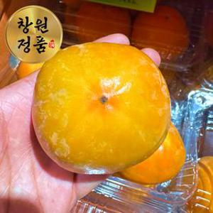 산지직송 창원 단감 2kg/3kg/5kg