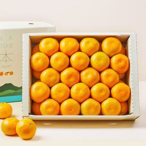 [제주] 깨비농원 고당도 하우스귤 3kg 산지직송