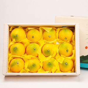 [제주] 깨비농원  황금향 선물세트 2.5kg 외