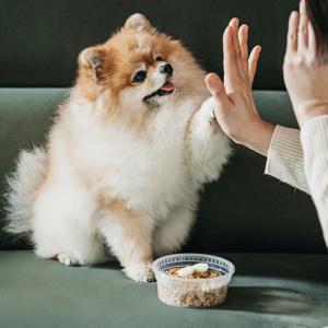 강아지 화식 자연식 수제사료 (1kg) 3종