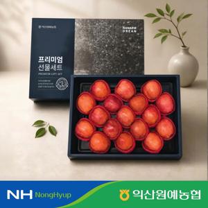 사과 프리미엄 명절 선물 세트 5kg 특 19과 내외