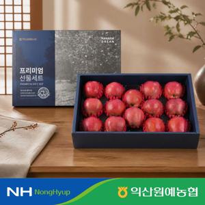 사과 프리미엄 명절 선물 세트 5kg 특 16과 내외