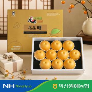 배 프리미엄 명절 선물 세트 7.5kg 특 10과 내외