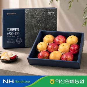 과일 혼합 프리미엄 명절 선물 세트 6kg 특 사과5과 배5과
