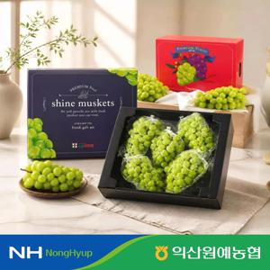 고당도 샤인 머스켓 선물세트 2kg 4kg