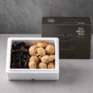 무농약 식수로 키운 생 버섯 1kg 선물세트