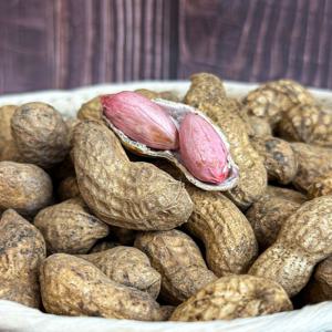 26년 햇 국내산 흙땅콩 피땅콩 1kg 외
