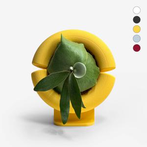MACARONI - 박쥐란 착생식물 부작 오브제 마카로니 부작판  (5colors)