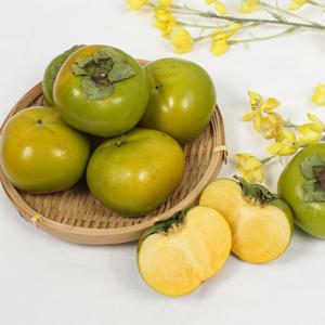 26년 햇 태추단감 가정용 1kg 중소과 외