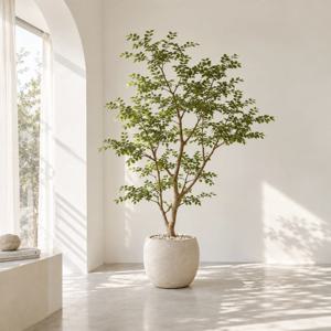아카시아 조화나무 대형화분 인테리어소품 120cm 150cm 180cm 210cm