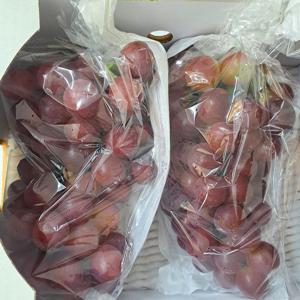 [신품종] 국내산 레드클라렛 포도 1kg / 2kg 씨없이 껍질째 먹는 프리미엄 포도