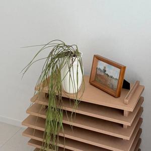 롱 립살리스 레인 조화 그린 가지 행잉플랜트