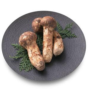 자연산 햇 송이버섯 1kg 2품 (12-18뿌리)