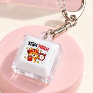 합격 호랑이 LED 키캡키링 수능 응원 선물 가방고리 백참 열쇠고리 학생 부적 행운