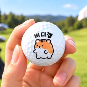 버디햄 골프공 10구 세트 고반발 비거리 캐릭터 컬러 골프볼 홀인원 라운딩 선물