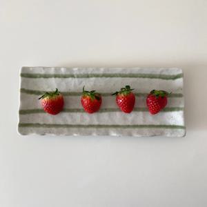 생선접시 긴접시  초밥그릇 긴사각접시 브런치 플레이트 Lime Stripe Plate