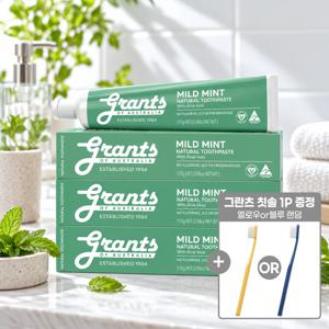 그란츠 치약 마일드 민트 110g 3개 + 그란츠 칫솔 1P