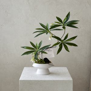 홍콩야자 아치 화이트 벨 조화 세라믹 화분