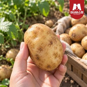 포슬포슬 국내산 감자 5kg 특 (100-150g)