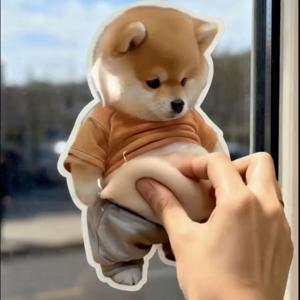 붙이는 말랑이 강아지 스티커 스퀴시 스트레스 해소 소품