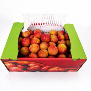 새콤달콤 가을 왕자두 추희자두 가정용(80g내외) 4kg