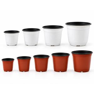 이색화분 컵포트 플라스틱화분 모종화분
