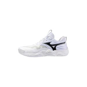 (대전신세계)미즈노 남여공용 배드민턴화 배구화 실내스포츠 인도어화 WAVE MOMENTUM ELITE WIDE V1GA251351
