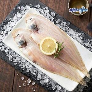 반건조 군산 박대(서대) 왕특 10마리(37-39cm/개별포장)