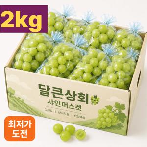 [후기1등] 프리미엄 알큰 달콤 진한 샤인머스캣 1.9kg 청포도 국내산